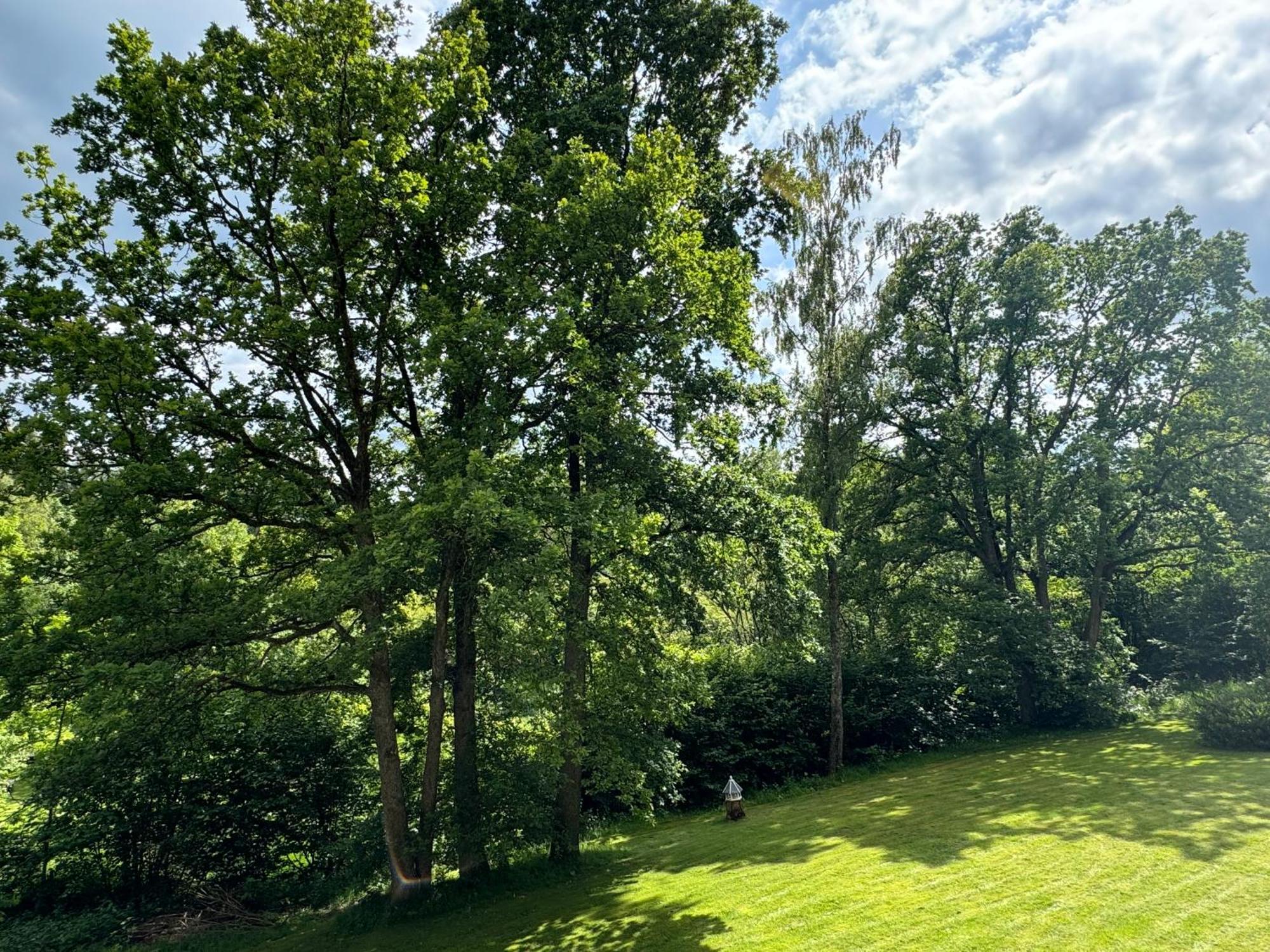 Ferienwohnung Brilon - Willingen Luaran gambar
